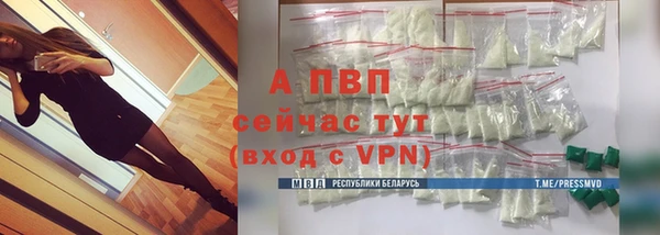 Альфа ПВП Магадан