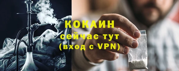 ГАЛЛЮЦИНОГЕННЫЕ ГРИБЫ Медвежьегорск