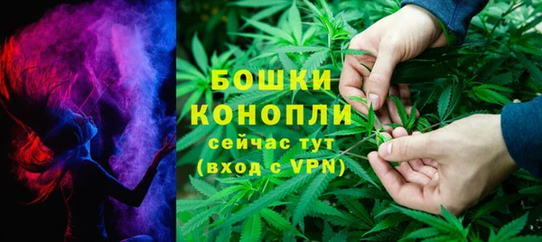 ГАЛЛЮЦИНОГЕННЫЕ ГРИБЫ Медвежьегорск