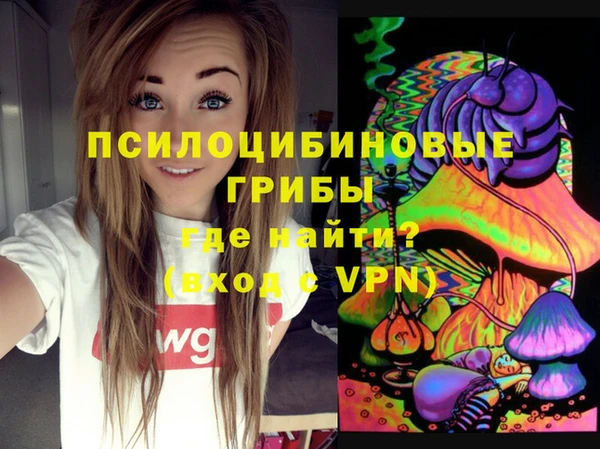 твердый Медногорск