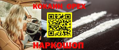 тгк Кандалакша