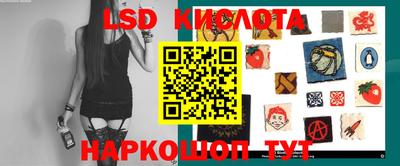 jwh Камышлов