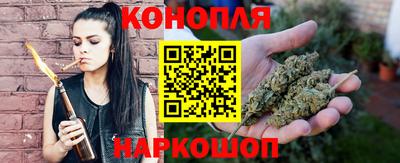 jwh Камышлов