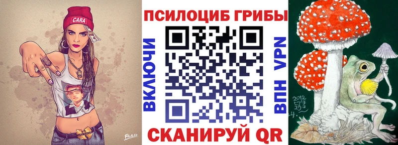 купить   Тихорецк  Галлюциногенные грибы ЛСД 