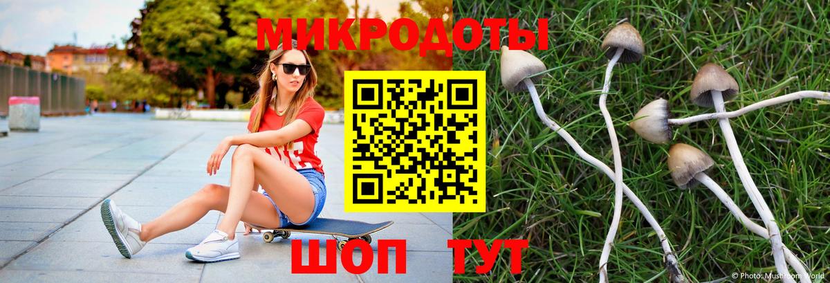 Псилоцибиновые грибы Magic Shrooms Тихорецк