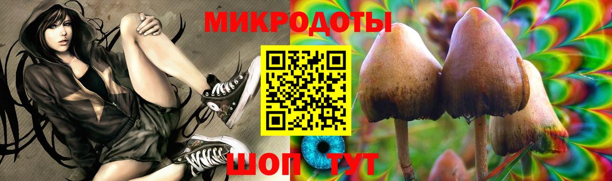 Галлюциногенные грибы прущие грибы  Вход с VPN  Тихорецк 